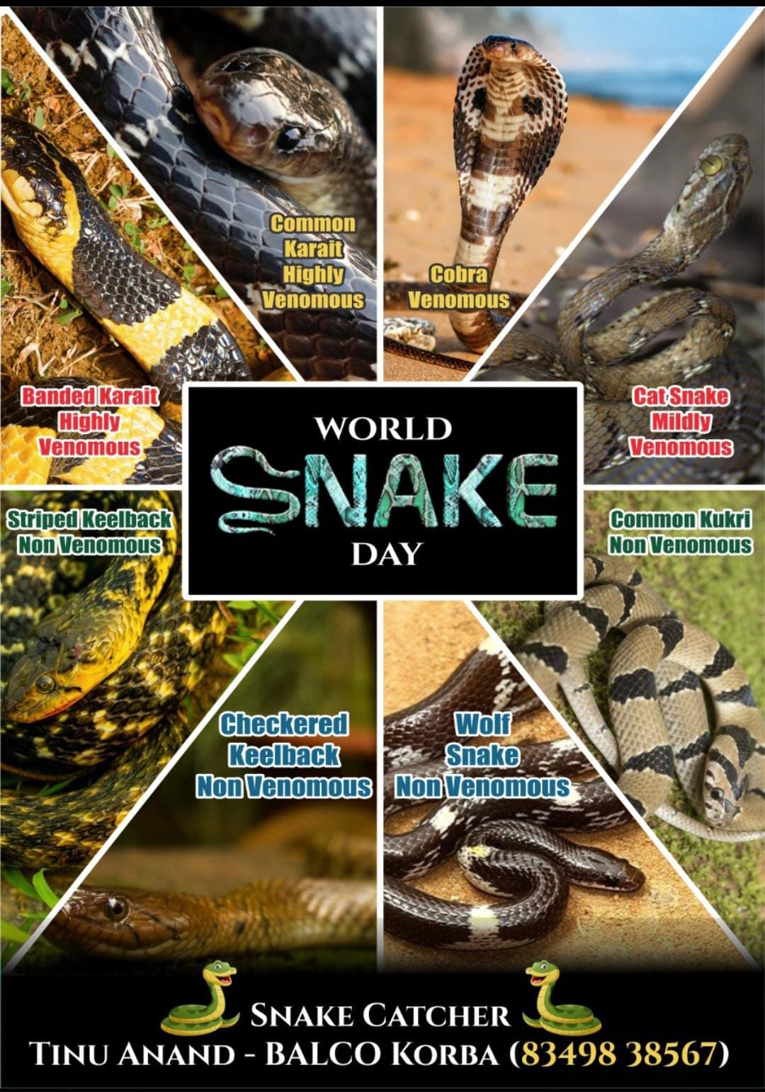 विश्व सर्प दिवस 2025 में सर्प संरक्षण और जागरूकता का संदेश