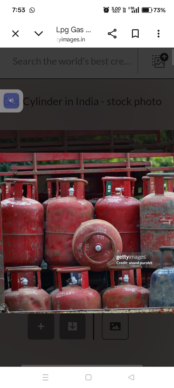 प्रदेश में वाणिज्यिक श्रेणी के एलपीजी गैस की उपलब्धता के संबंध में निर्देश जारी