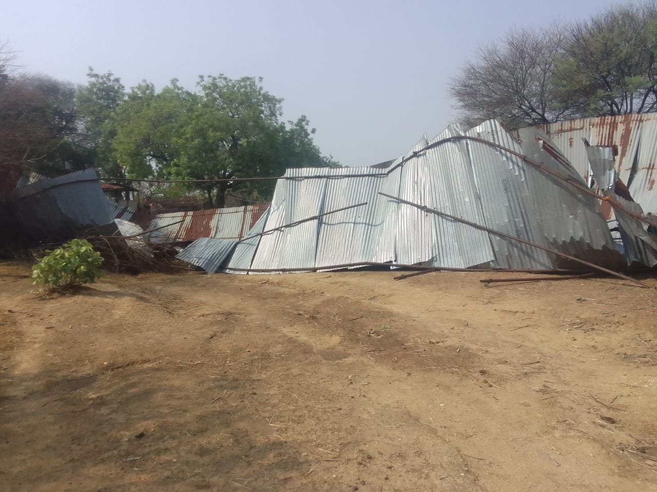 खबर कोरबा जिला के पाली ब्लॉक के मुरली गांव से जहां 3:50  गायो से भरे गौशाला का टीन शेड आंधी तूफान से उड़ गया है