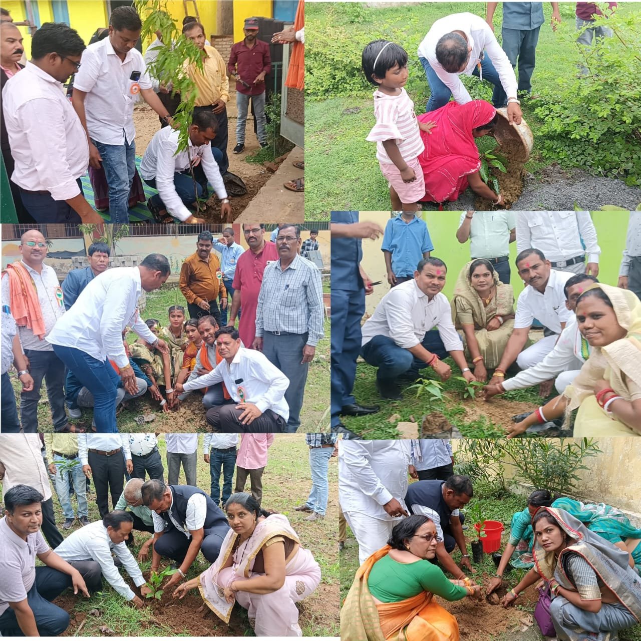 मनोज झा के प्रयास से शाला प्रवेश उत्सव बना पर्यावरण संरक्षण का संदेशवाहक, स्कूलों में 1000 से अधिक पौधे वितरित