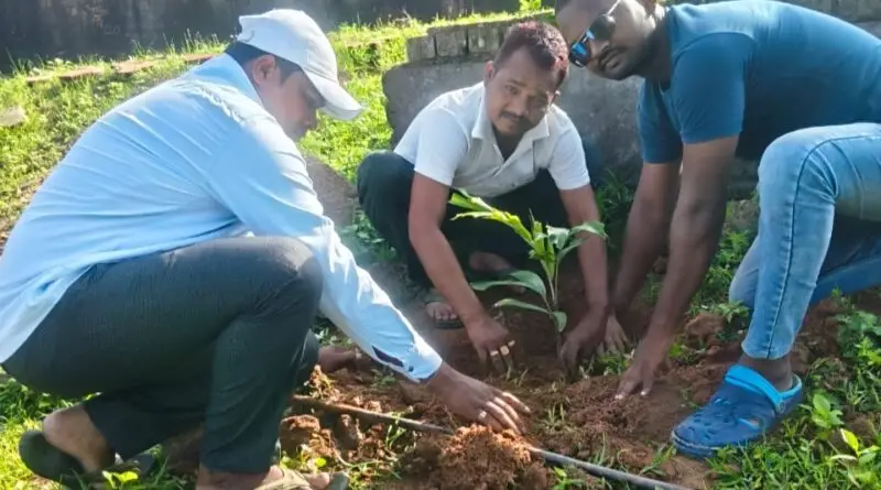 एक पेड़ मां के नाम” अभियान के तहत धनरास में पंचायत भवन व सामुदायिक स्वास्थ्य केंद्र में 100 पौधे रोपे गए