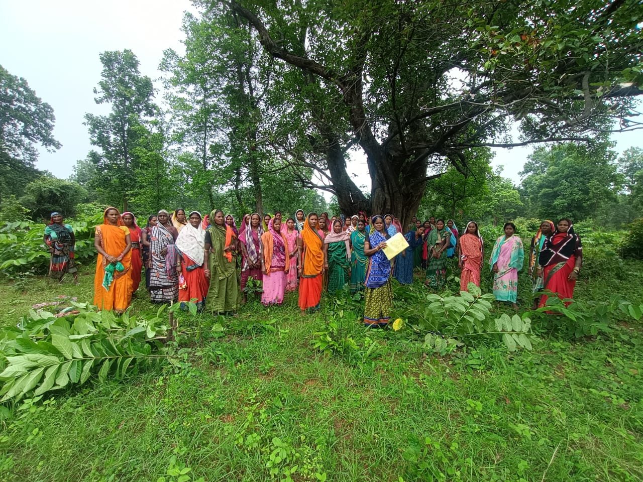 रायगढ़ में बारूद प्लांट का विरोध तेज़, भूमि पूजन से पहले ग्रामीणों ने रोका कंपनी को, बैरंग लौटे अधिकारी