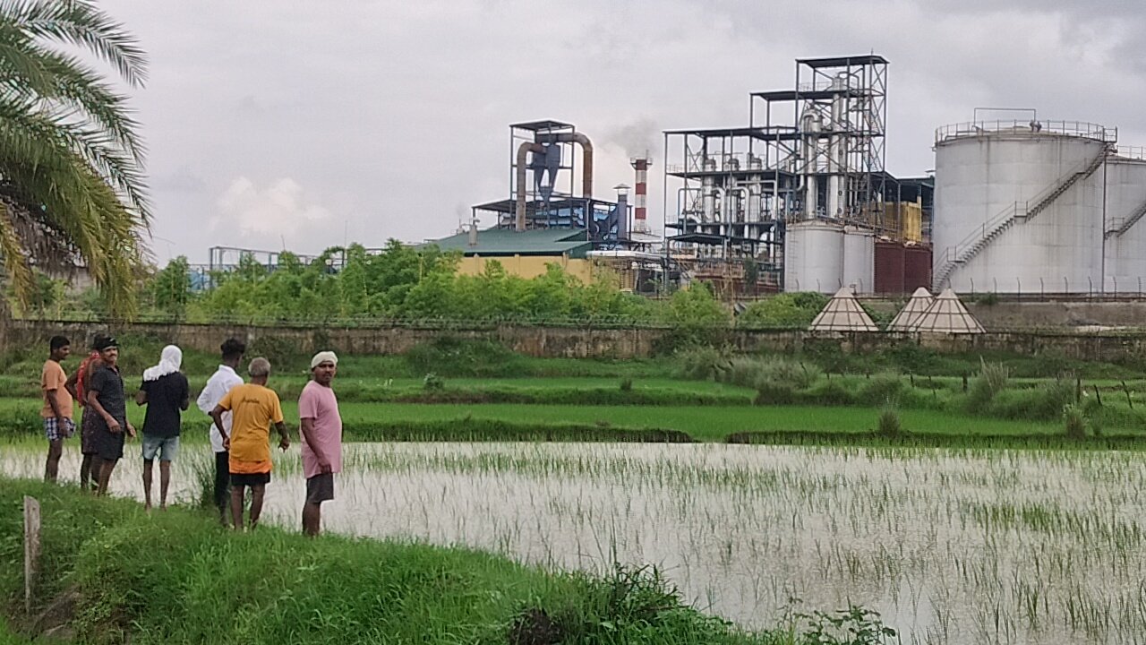 कोण्डागांव के कोकोड़ी गांव में एथेनॉल प्लांट बना किसानों के लिए संकट, दूषित जल से बर्बाद हुई सैकड़ों एकड़ फसलें