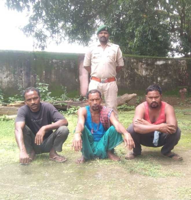 जंगल मे करेंट के जाल बिछाने वाले आरोपियों की हुईं पहचान, हाथी के जान जाने पर की गई कार्यवाही