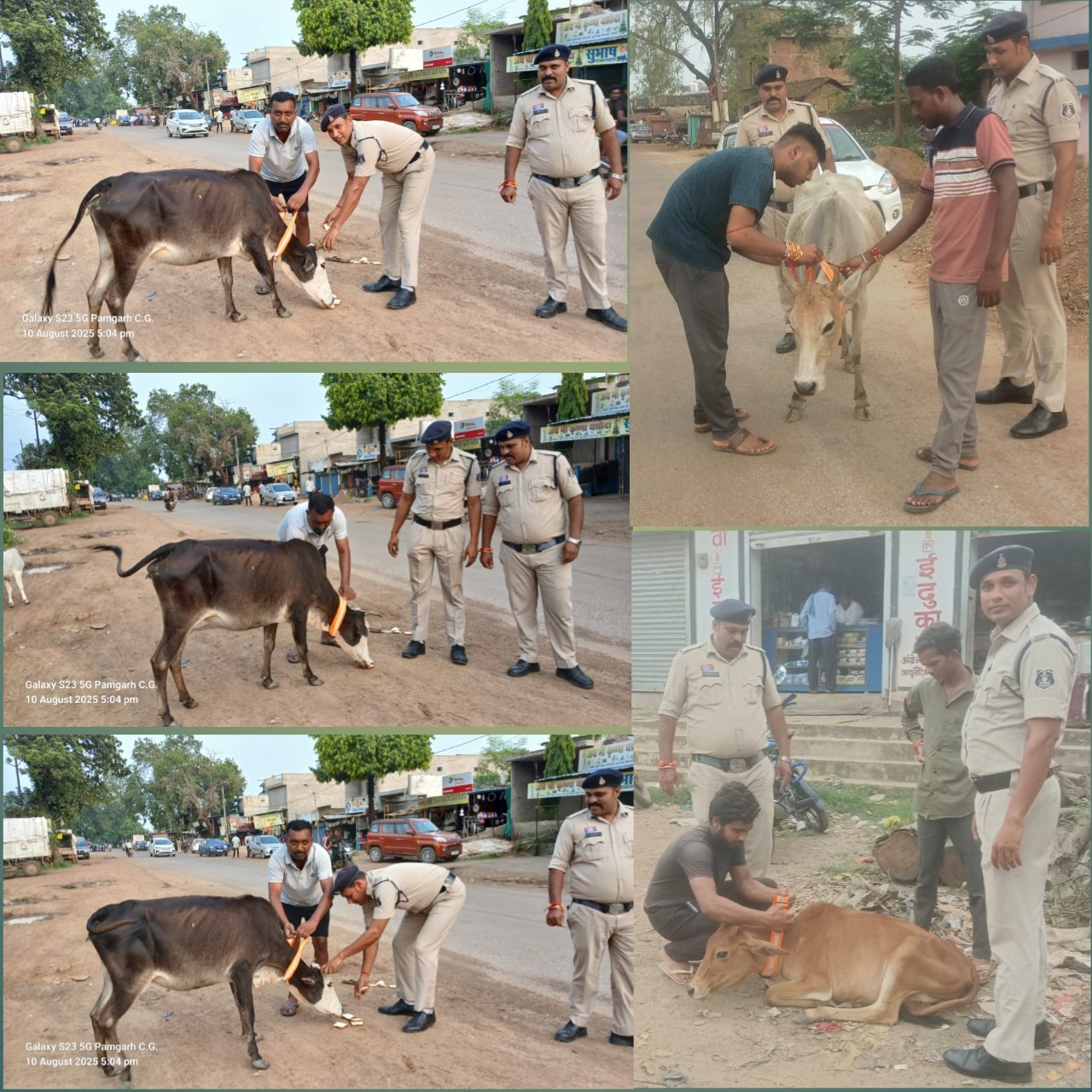 पुलिस अधीक्षक के निर्देश पर मुलमुला थाना प्रभारी द्वारा घुमंतू पशुओं को लगाया जा रहा रिफ्लेक्टीव बेल्ट...