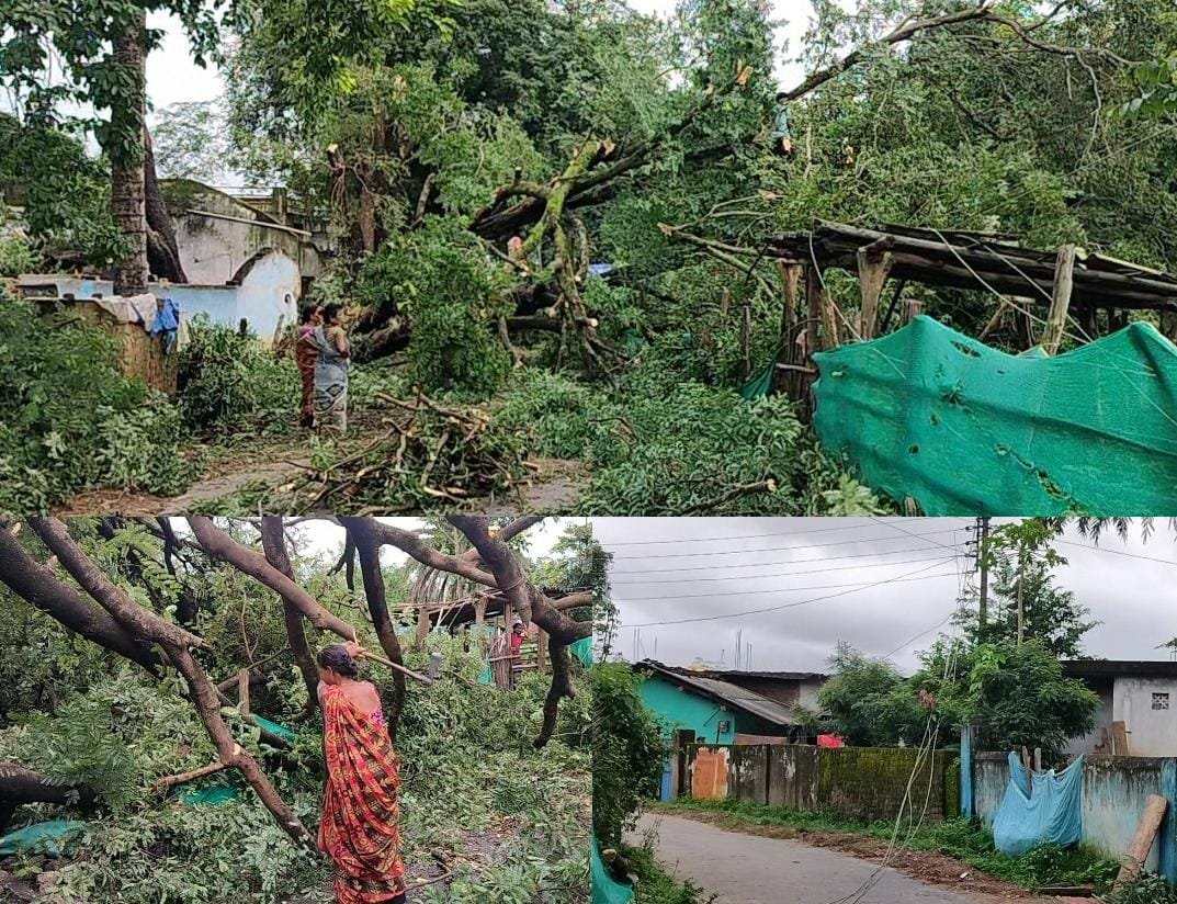 कोंडागांव के बंधापारा वार्ड में पेड़ गिरने से मकान ध्वस्त, 24 घंटे से विद्युत आपूर्ति बाधित – प्रशासन नदारद