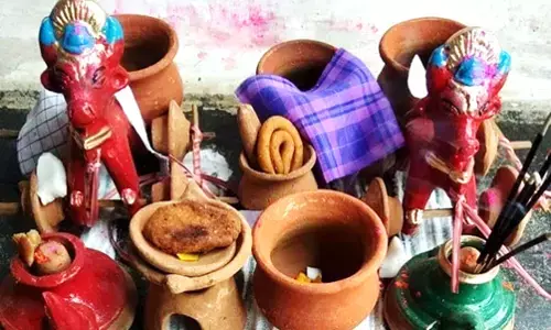 पोला का पावन पर्व जिसमें क्यो करते है बैलो की पूजा 