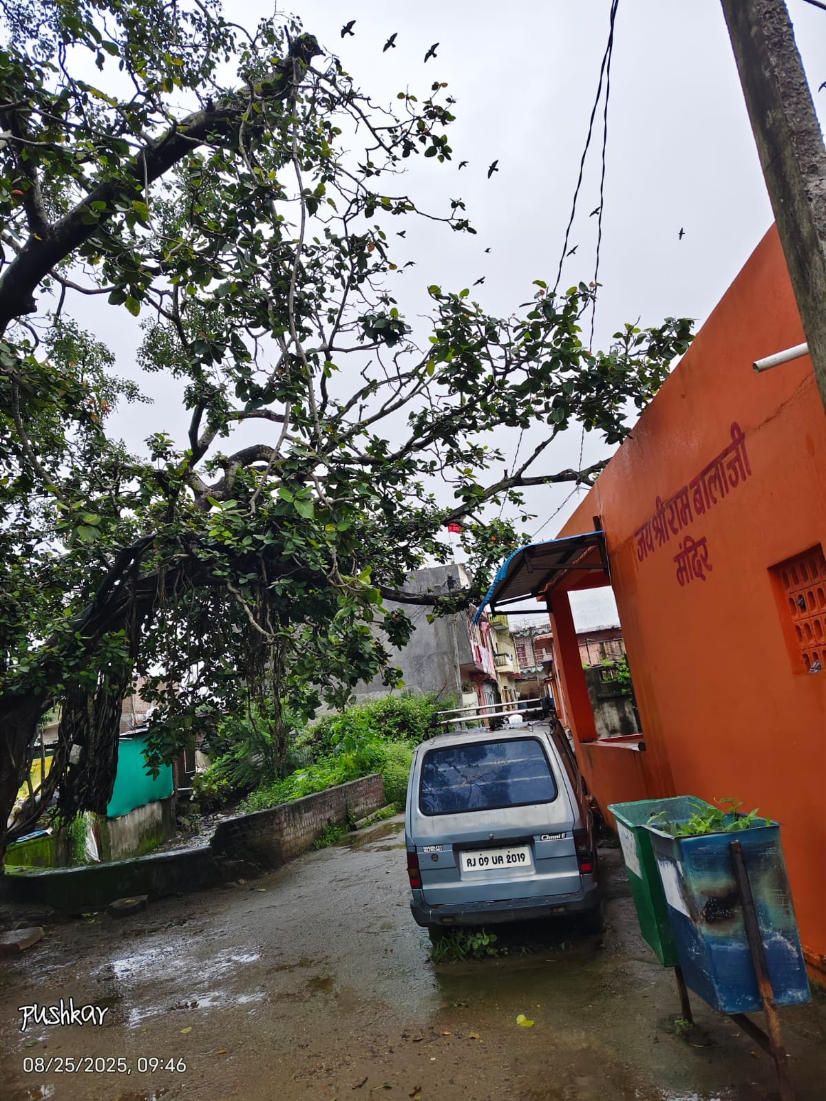 मंदिर के पास झुका बरगद का पुराना पेड़़ गिरने से हो सकता है हादसा