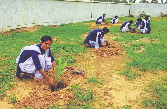 पर्यावरण संरक्षण का संकल्प: वन विभाग कर रहा पौधों का निशुल्क वितरण, किसान वृक्ष मित्र योजना से भी हरियाली बढाने पर जोर