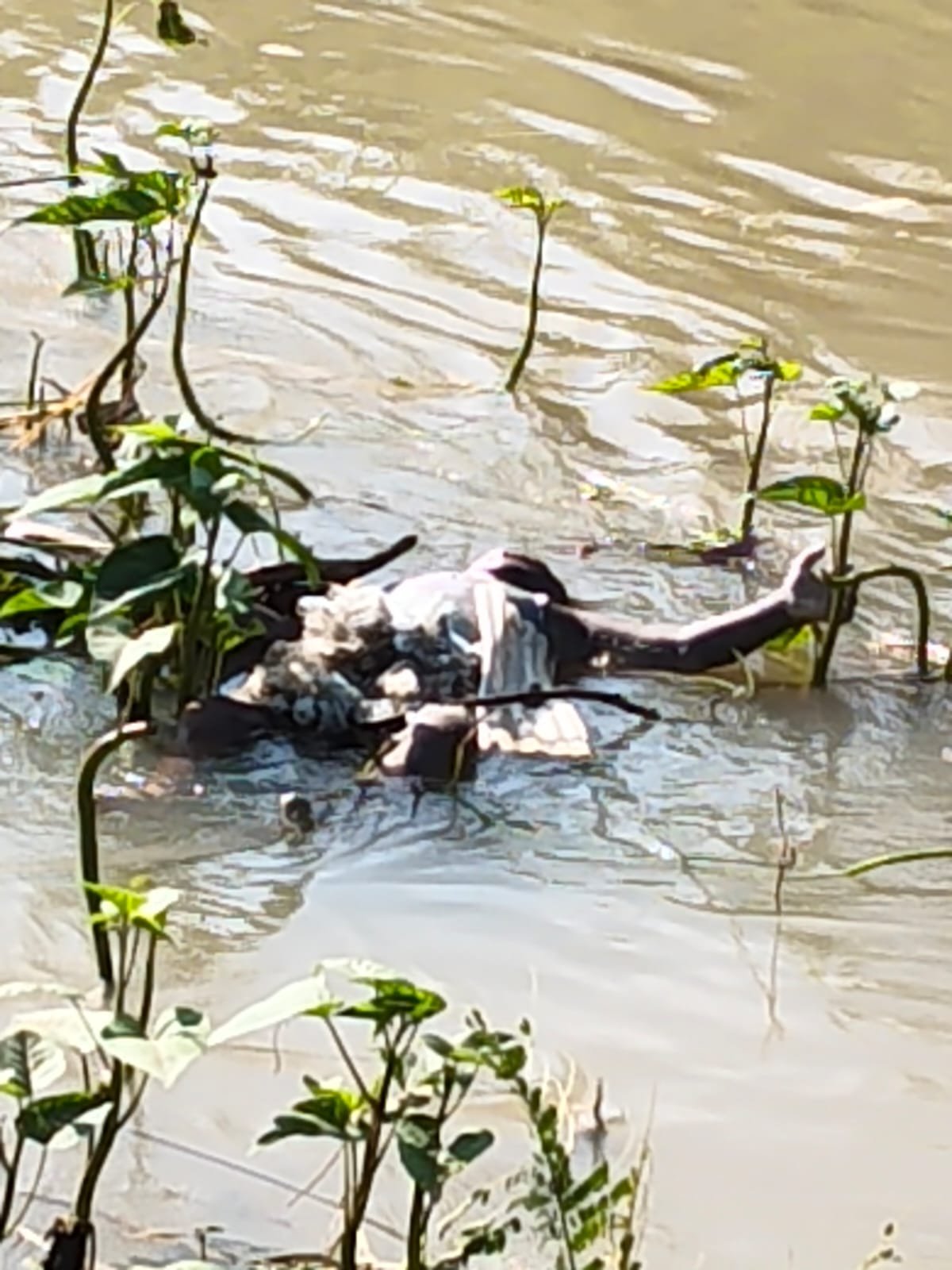 ग्राम टिकारी में लापता मासूम का शव नहर से बरामद, गांव में पसरा मातम