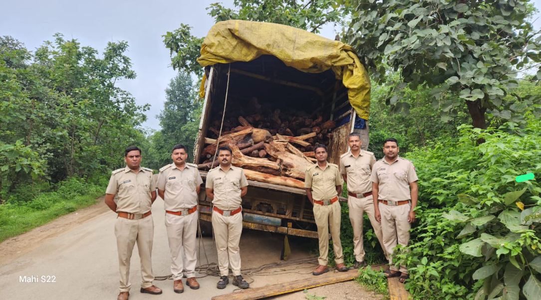 सीतामाता अभयारण्य रेंज ज़ाखम में खैर तस्करी का पर्दाफाश, 6 टन लकड़ी जब्त
