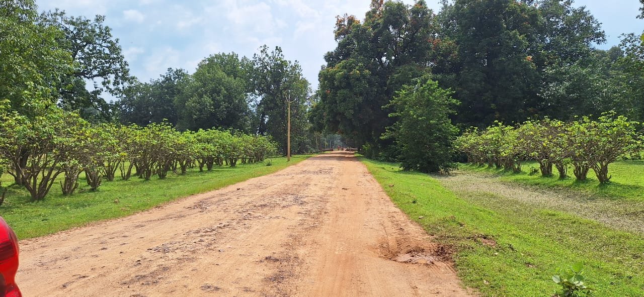 चिर्रा से श्यांग तक सड़क निर्माण की शुरुआत, वर्षों पुरानी मांग होगी पूरी