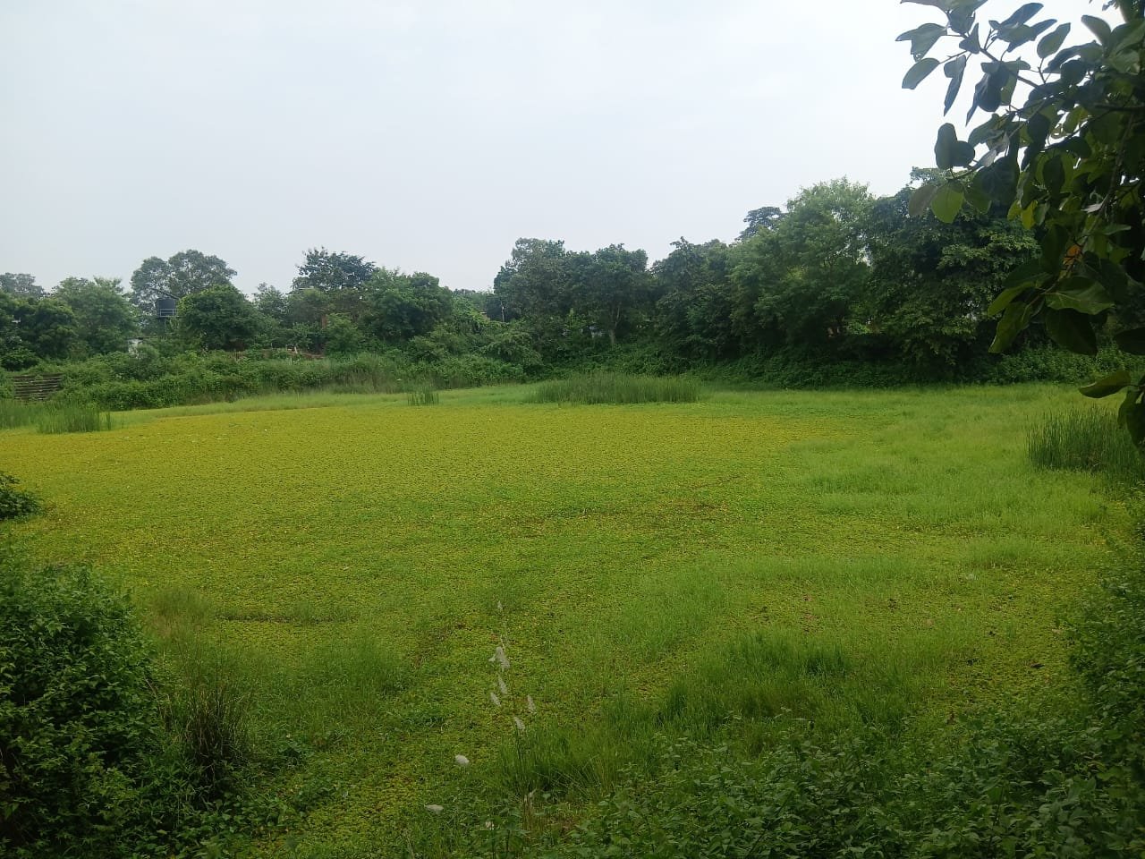 कोरबा ब्लॉक की पहंदा में तालाब की सफाई का अभाव, ग्रामीणों में नाराज़गी