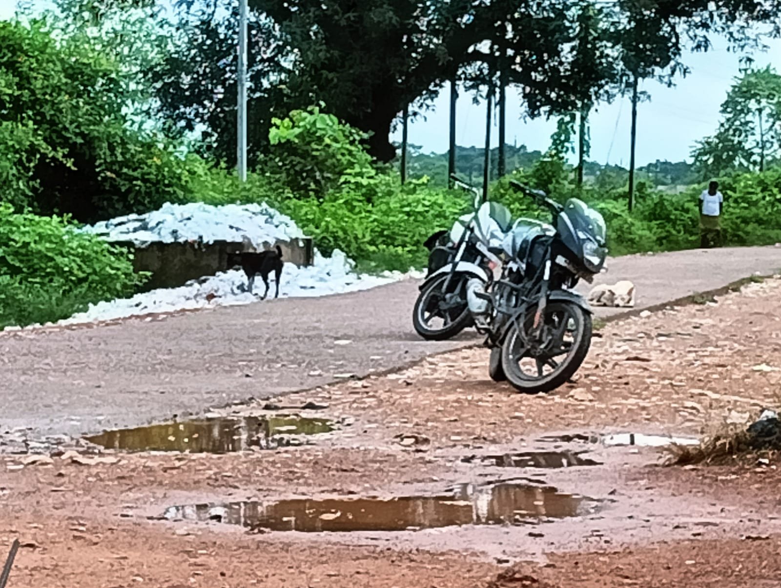 बरपाली शराब भट्ठी के पास संचालित अहाता सेंटर से पसरी भारी गंदगी....! आबकारी, मौन