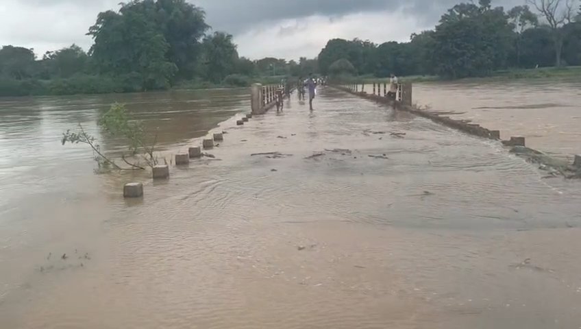 नेवता-बफना मार्ग पर भारी बारिश का कहर, नारंगी नदी उफान पर – बनियागांव पुल से बह रहा पानी, कई गांवों का संपर्क टूटा