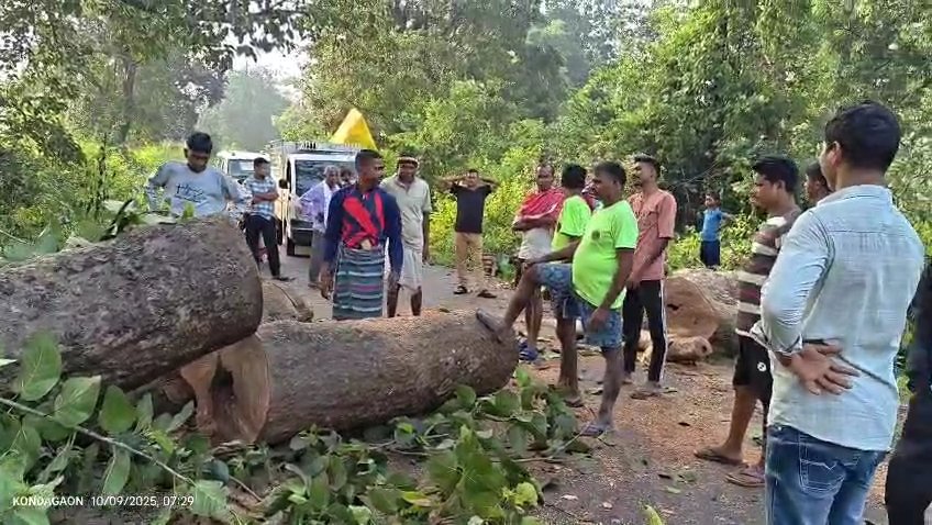 कोण्डागांव: बारिश के चलते विशाल पेड़ गिरा, धौड़ाई मार्ग रातभर रहा बाधित, ग्रामीणों की मदद से सुबह बहाल हुआ आवागमन
