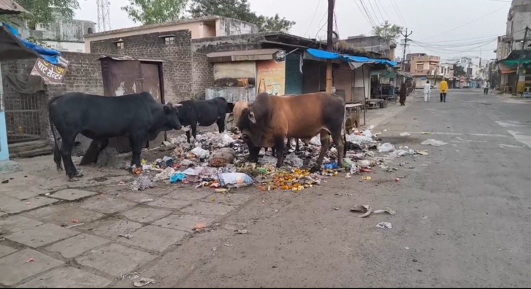 सफाई कर्मियों की हड़ताल बरकरार, गंदगी से हाल बेहाल प्रशासन मौन