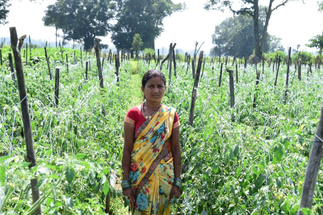 सफलता की कहानी, कोंडागांव में बिहान योजना से आत्मनिर्भरता की मिसाल बनीं शकुन्तला शार्दुल