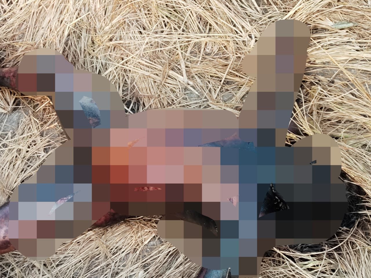 ग्राम औराई के पास खेत में अज्ञात लाश मिलने से हड़कंप, जांच में जुटी पुलिस