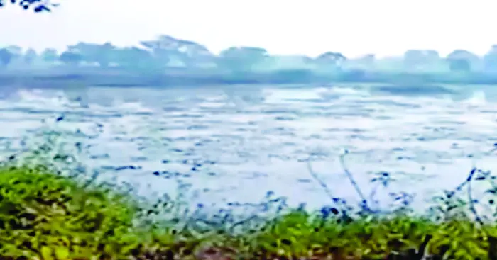 तालाब पर शौच के लिए गये युवक पर अजगर का हमला, मौत — ग्रामीणों ने रेस्क्यू की मांग की