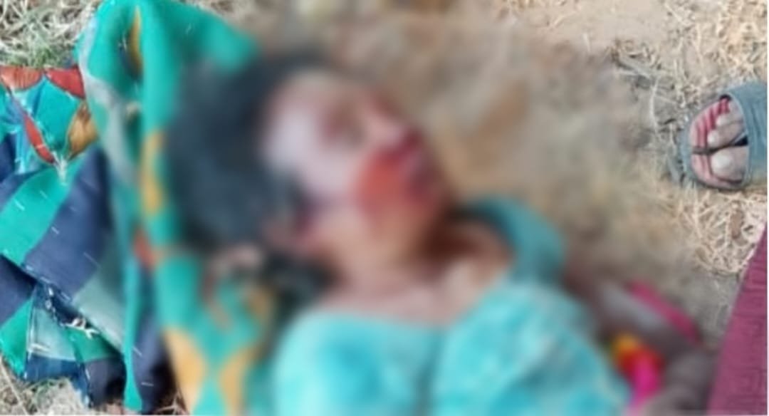 जंगल से ज़्यादा खतरनाक सिस्टम, हाथी के हमले में महिला की मौत ने खोली प्रशासन की पोल, ODF से लेकर वन विभाग तक सवालों के घेरे में