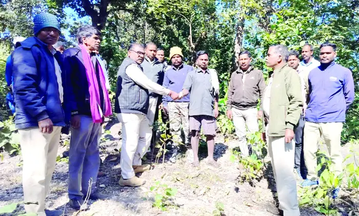 हाथी के हमले में ग्रामीण की मौत से क्षेत्र में दहशत  मवेशी चराकर लौटते समय हुआ हादसा, मौके पर ही गई जान