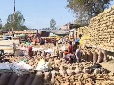 कोण्डागांव में धान खरीदी पर संकट: 5 जनवरी से समिति ने किया खरीदी बंद करने का ऐलान, किसानों में असमंजस, जिला प्रशासन मौन