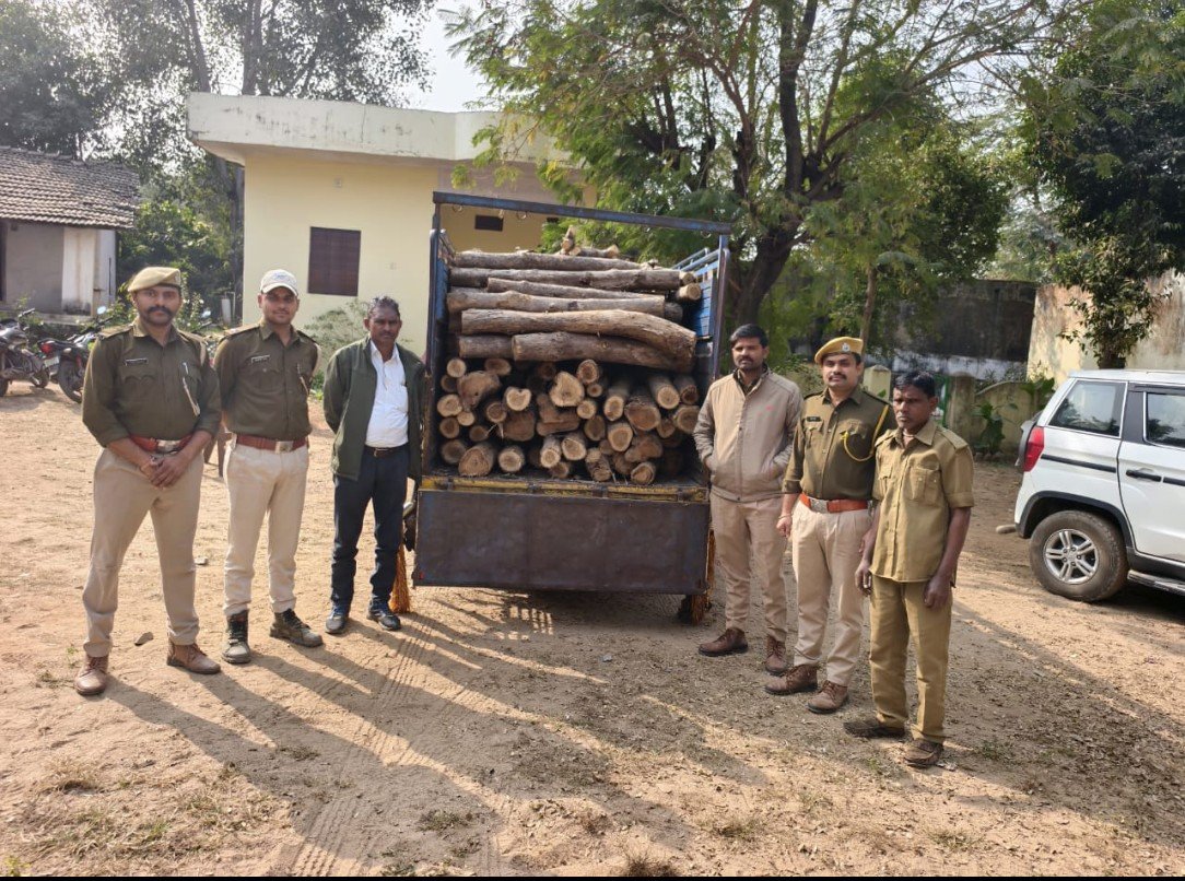 सागवान की गिली लकड़ी परिवहन करते पिकअप जब्त