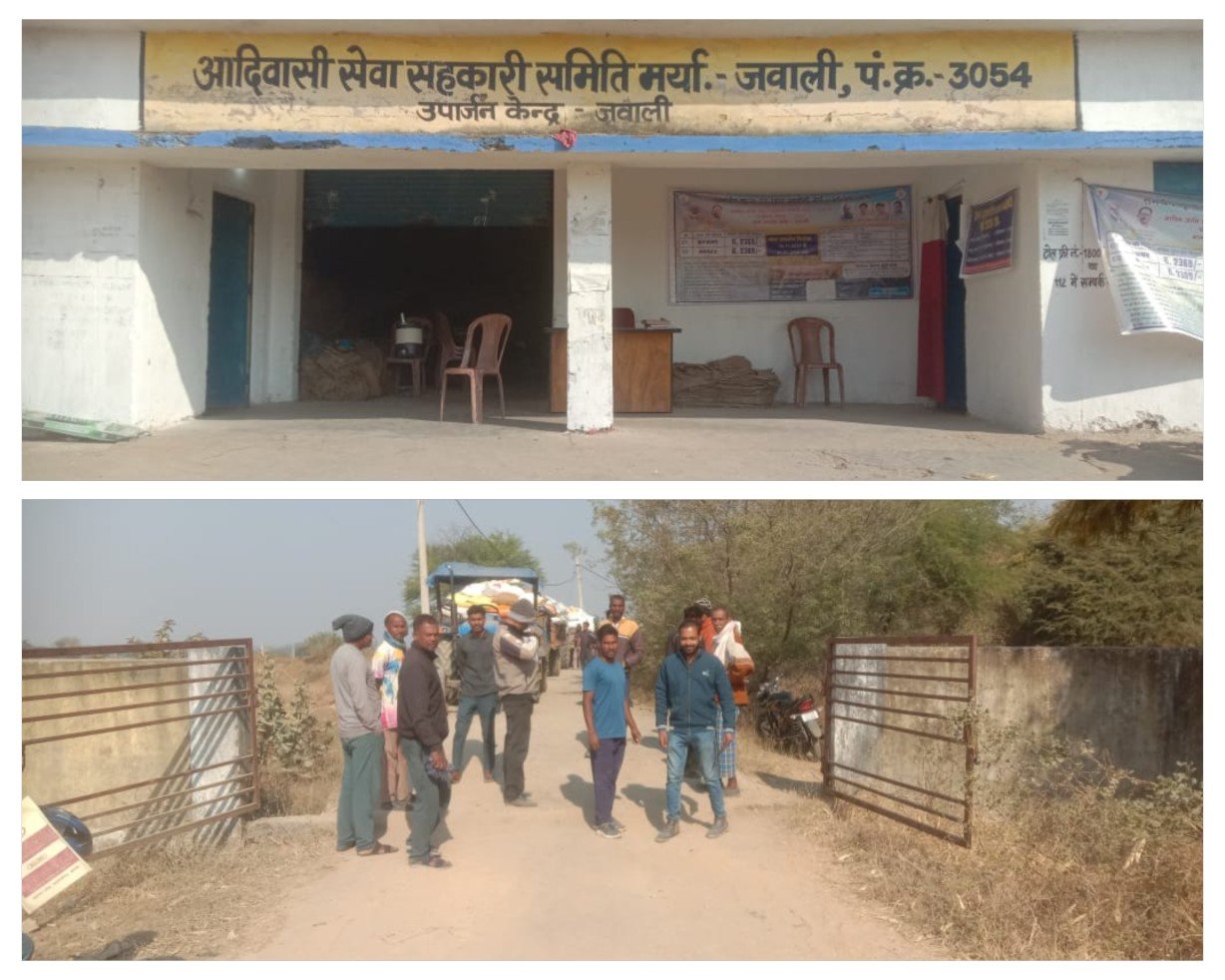 जवाली में धान खरीदी ने पकड़ी रफ्तार, 40 दिनों में 62% कार्य पूर्ण