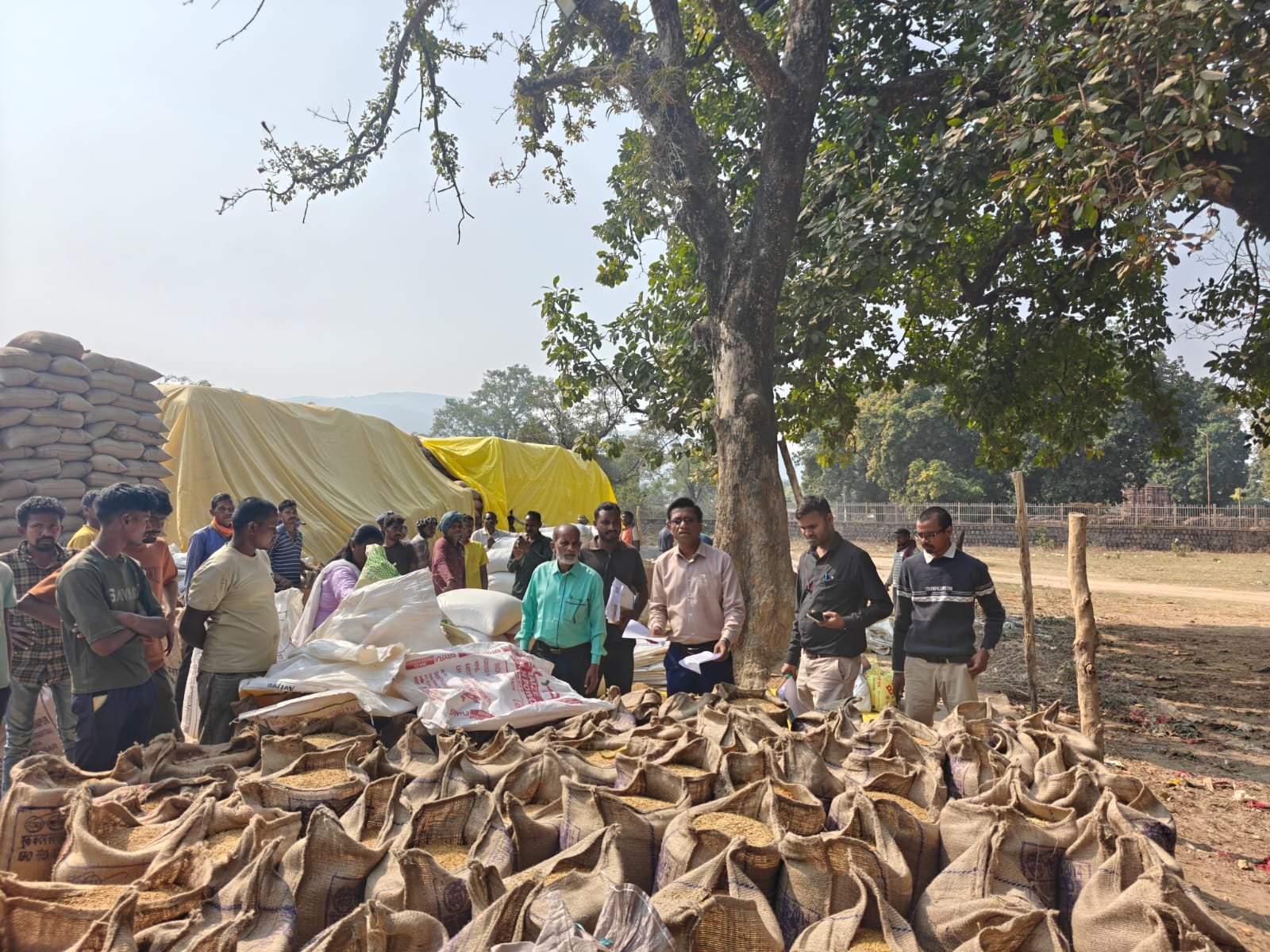 अंतिम चार दिन के खरीदे गए धान को करना होगा ये काम, राज्य के सभी समिति प्रबंधकों को निर्देश जारी !