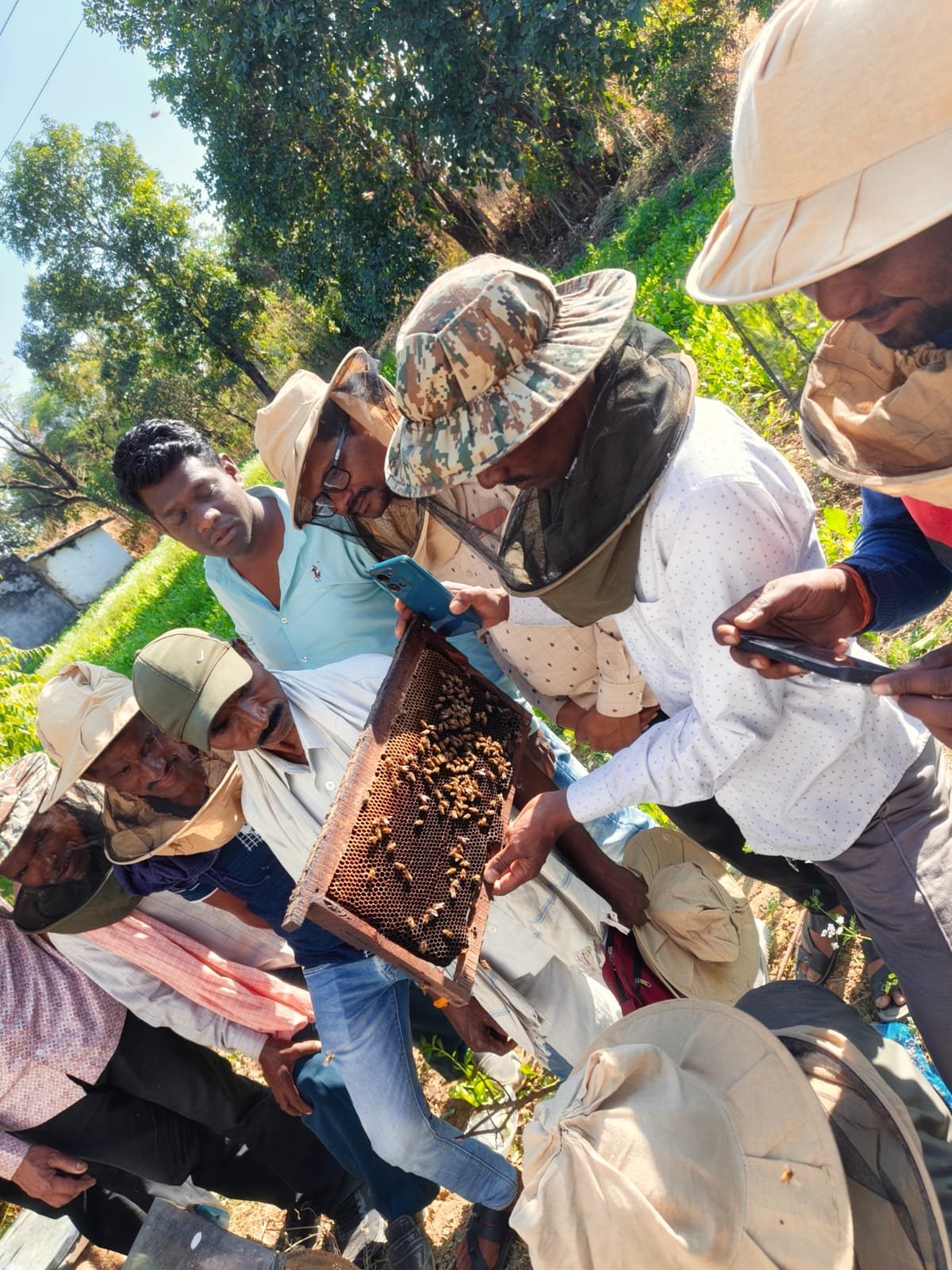 मधुमक्खी पालन बना किसानों की आय बढ़ाने का मजबूत आधार