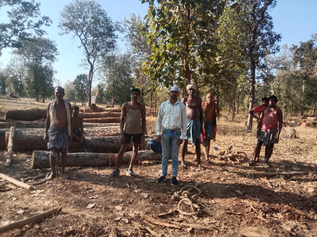 ग्राम पंचायत इसलनार में ग्रामीणों की इच्छा के विरुद्ध पेड़ों की कटाई पर आम आदमी पार्टी का विरोध, तत्काल रोक की मांग