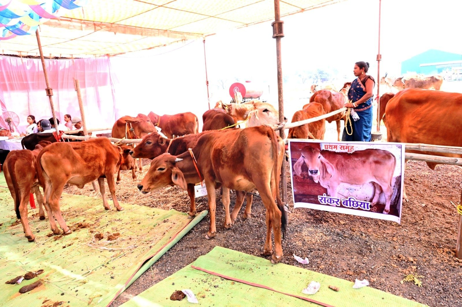 जाज्वल्यदेव लोक महोत्सव एवं एग्रीटेक कृषि मेला 2026: कृषि यंत्रों का प्रदर्शन और पशु प्रदर्शनी का आयोजन...