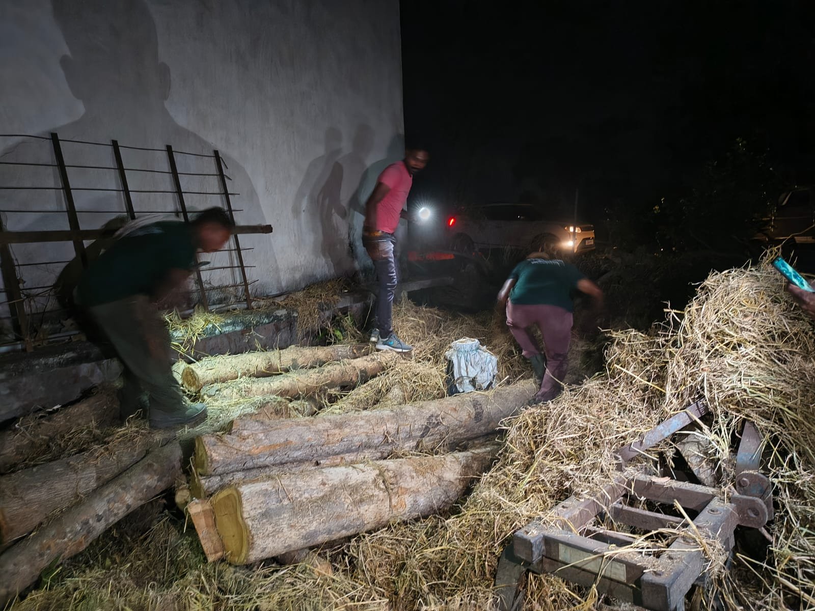बेलरगोंदी में धान पैरा में छुपाकर रखी सागौन लकड़ी बरामद, 35 नग जप्त, वन विभाग की सख्त कार्रवाई