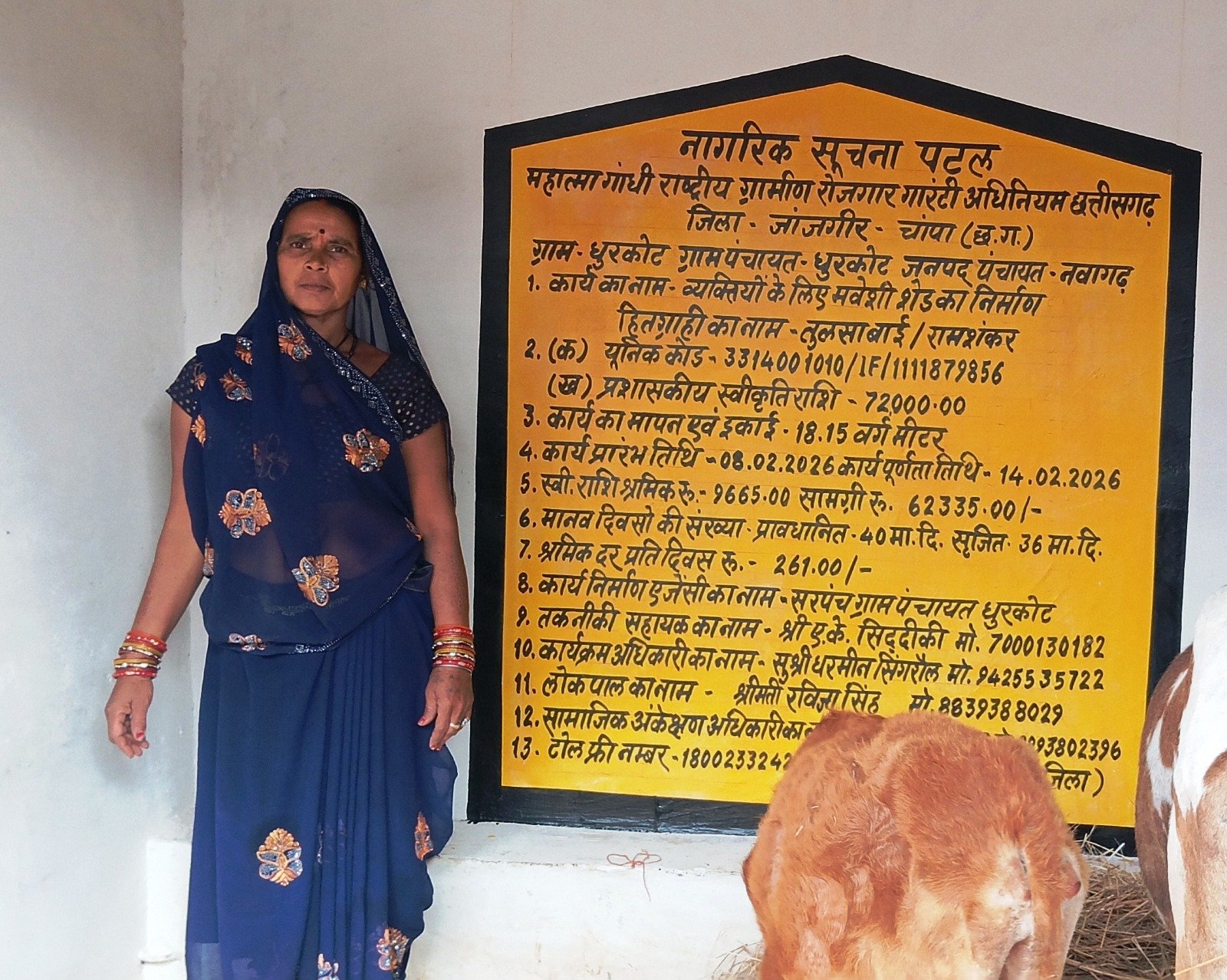 मनरेगा से मिला सहारा, पशुपालन को मिली नई दिशा: हितग्राही तुलसाबाई के जीवन में आया बदलाव...