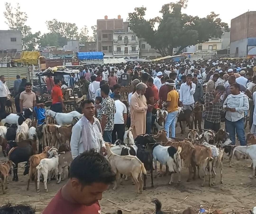80 हजार तक बिक रहे बकरे 