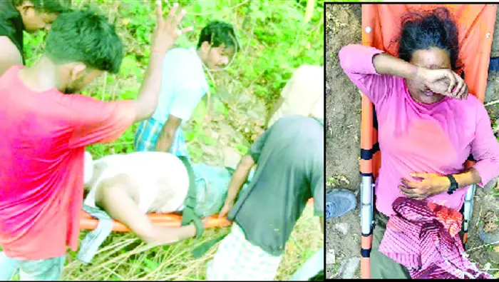 सिंघनपुर गुफा में रिसर्च के दौरान बड़ा हादसा: मधुमक्खियों के हमले में रविशंकर विश्वविद्यालय की टीम घायल