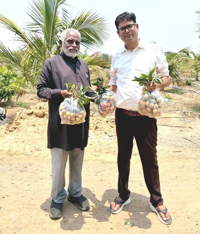 प्रगतिशील किसान कुंजलाल बने वित्त मंत्री ओपी चौधरी के ‘लीची गुरु’, रायगढ़ की खेती को मिल रही नई पहचान