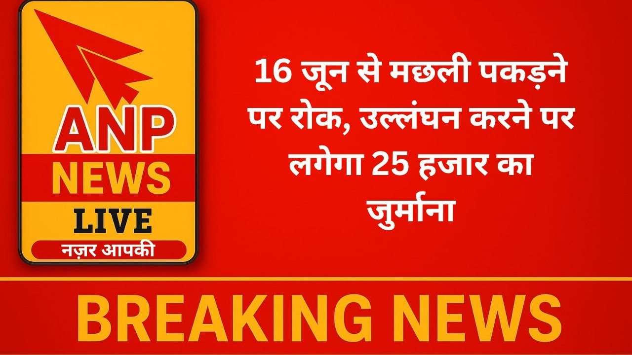 Anp News 16 जून से मछली पकड़ने पर रोक, उल्लंघन करने पर लगेगा 25 हजार का जुर्माना