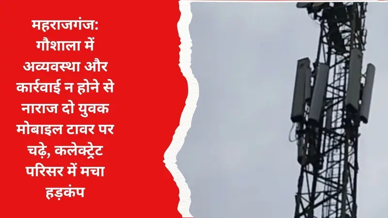 महराजगंज: गौशाला में अव्यवस्था और कार्रवाई न होने से नाराज दो युवक मोबाइल टावर पर चढ़े, कलेक्ट्रेट परिसर में मचा हड़कंप