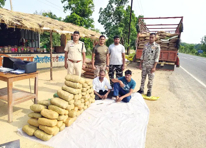 इमली की 12 टन बोरियों के नीचे छिपा था 94 किलो गांजा, डोंगरीपाली पुलिस की बड़ी कार्रवाई