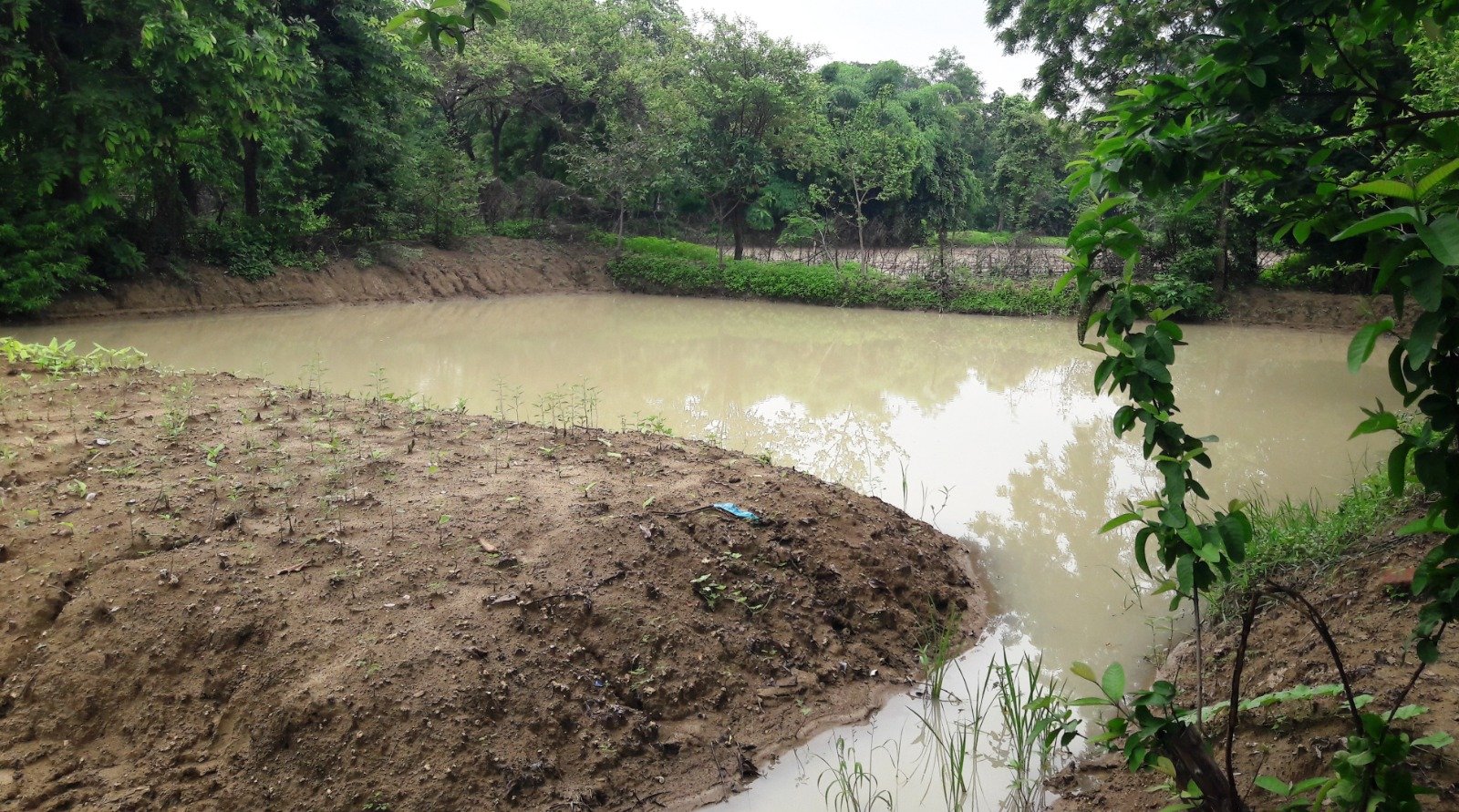 सिंचाई के साथ मछली पालन और सब्जी उत्पादन से बढ़ेगी आय की संभावनाएं