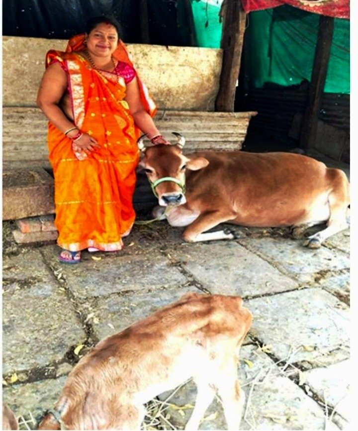 महतारी वंदन योजना से मिली आर्थिक सहायता, सरिता राठौर ने शुरू किया दुग्ध व्यवसाय...