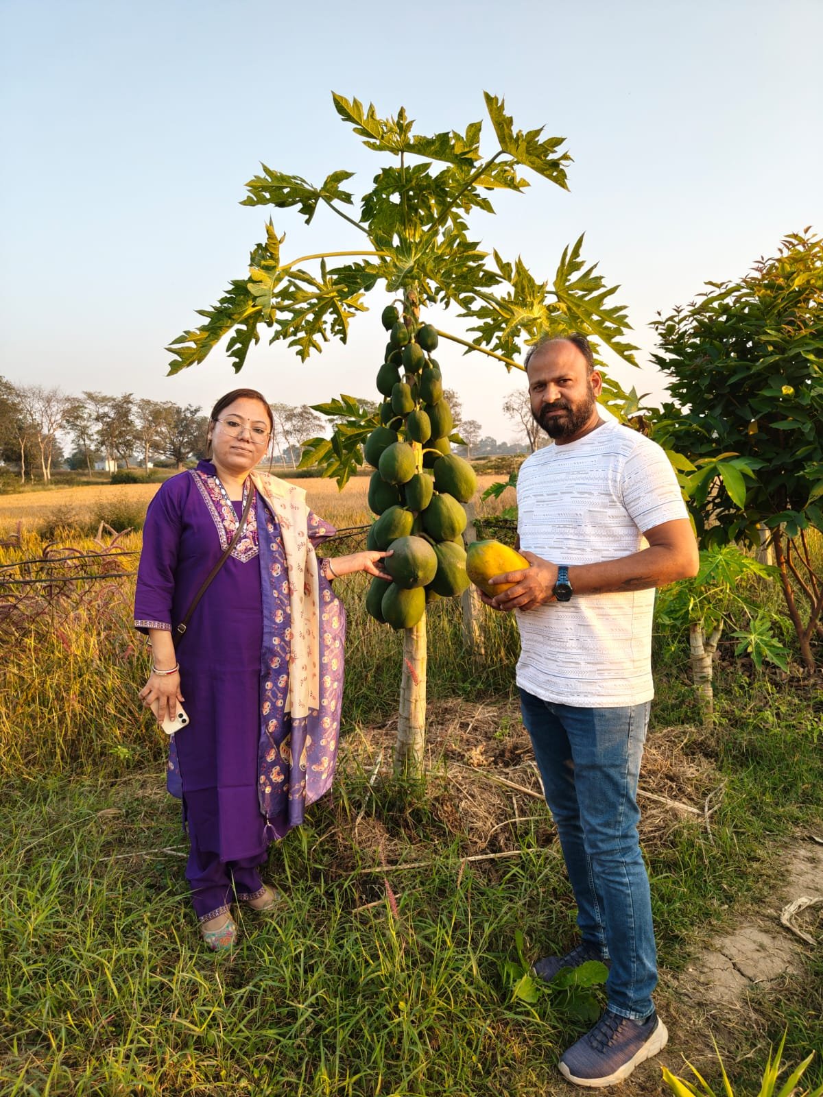 धान की खेती से उद्यानिकी की ओर बढ़े आशीष राठौर, मिश्रित खेती से पहली ही वर्ष में कमाए 3.65 लाख रुपये...